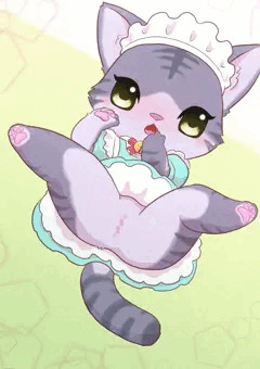 小さいねこけもさん