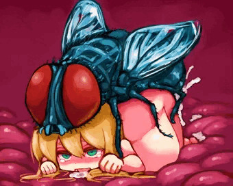 蝿の苗床になった女の子！