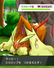 えろうさぎ捕獲