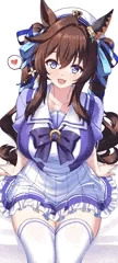 制服ヴィブロス
