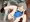 2022夏　twitterヘッダー用