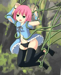 ツタ2