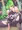 【リクエスト】がんばれゴエモンのヤエちゃんを風船姦