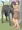 クロと橋の下で