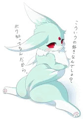 うちの子バックショット