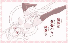 雌猫は