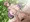 とある母親の子宮陥落