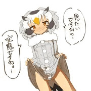 ちょうはつてきはかせ