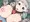 カエデさんに「いとをはく」こうげき