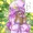 ちんこしまえ！（パチュリー）