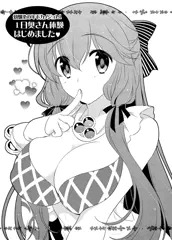 【 C88 】 ソーサラーセットおりとじ本サンプル。