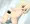 ろりあなる