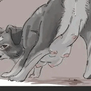 いぬ！