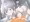 ドゥーちゃんに擦り付けられたり
