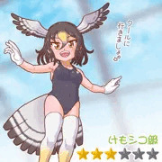 競泳水着オオタカさん