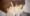 【リヴァエレ】ばかばかばか