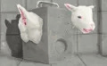 ヤギコン