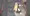 魔法少女VS魔族と拘束具