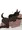 黒わんこ②