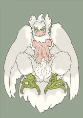 鳥どし