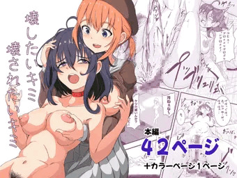 壊したいキミ 壊されたいキミ