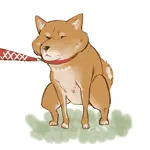 つつもり