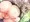 siriii