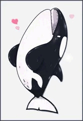 シャチ