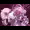 プリンセスクライシス