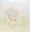 麻衣マチコ先生