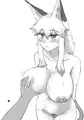 【C105】獣耳さんのえっちな絵の本