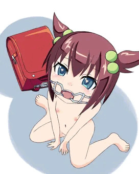 少女の見た夢の果て……