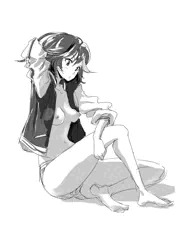 流子