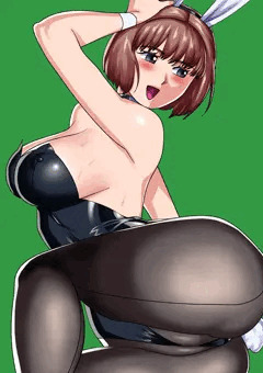 バニーののさん