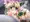 リース様ぺろぺろ