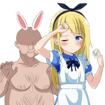 不思議の国の