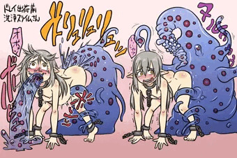 酵素のパワーで根こそぎ洗浄