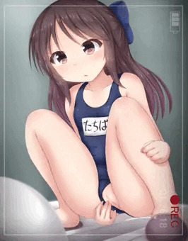 スク水ありすちゃんトイレ盗撮