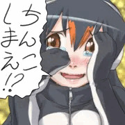 ちんこしまえ(ジェーン)