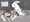 飼育係ちゃん