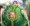 トレジャーハンティング -部族編2 植物触手　差分有り