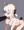 レイ