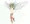 翼の少女
