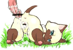 おなかいっぱい