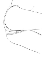 おしりイラスト練習模写らくがき