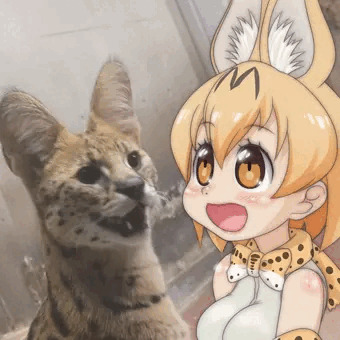 西に吠えろ、東に吠えろ