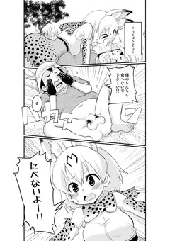 サーバルちゃんとおじさんちゃん