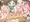 ひろってください