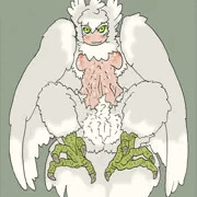 鳥どし