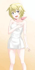 シャルロット・デュノア